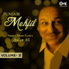 Punjabi Mehfil, Vol. 2 by Ghulam Ali