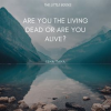 Are_You_the_Living_dead__or_are_you_Alive_