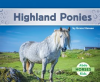 Highland Ponies by Hansen, Grace