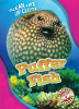 Puffer Fish by Pettiford, Rebecca