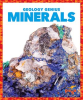 Minerals by Pettiford, Rebecca