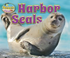 Harbor Seals by Lawrence, Ellen
