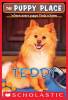 Teddy (The Puppy Place #28) by Miles, Ellen