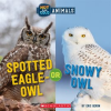 Spotted Eagle-Owl or Snowy Owl by Geron, Eric