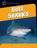Bull_Sharks