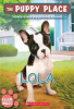 Lola (The Puppy Place #45) by Miles, Ellen