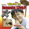 Where_Do_Insects_Live_