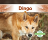 Dingo by Hansen, Grace