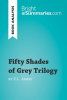Fifty_Shades_Trilogy_by_E_L__James__Book_Analysis_