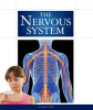 The Nervous System by Gray, Susan H