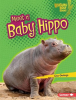Meet a Baby Hippo by Owings, Lisa