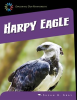 Harpy Eagle by Gray, Susan H