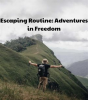 Escaping_Routine
