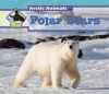 Polar Bears by Murray, Julie