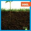 Soil by Pettiford, Rebecca