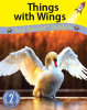 Things with Wings by Holden, Pam