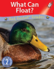 What Can Float? by Holden, Pam