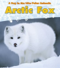 Arctic Fox by Marsico, Katie