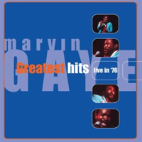 Greatest_Hits_Live