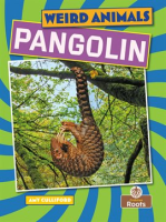 Pangolin by Culliford, Amy