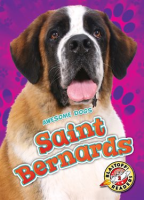 Saint Bernards by Sommer, Nathan