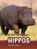 Hippos by Jaycox, Jaclyn