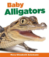 Baby Alligators by Salzmann, Mary Elizabeth