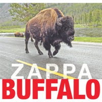 Buffalo by Frank Zappa