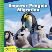 Emperor Penguin Migration by Gray, Susan H