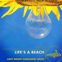 Life's A Beach by Organic Spark