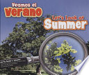 Veamos el verano = Let's look at summer by Schuette, Sarah L