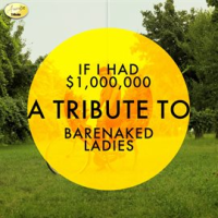 If I Had $1,000,000 - A Tribute To Barenaked Ladies by Ameritz Tribute