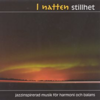 Natten Stillhet (i) (the Still Of The Night) by Various Artists