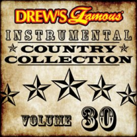 Drew's Famous Instrumental Country Collection (Vol. 30) by The Hit Crew