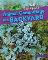 Animal_Camouflage_in_a_Backyard