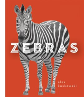 Zebras by Kuskowski, Alex
