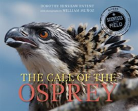 The Call of the Osprey by Patent, Dorothy Hinshaw