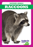 Raccoons by Nilsen, Genevieve