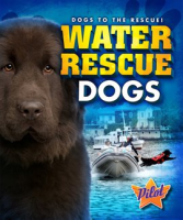 Water Rescue Dogs by Green, Sara