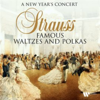 A_New_Year_s_Concert_-_Strauss__Famous_Waltzes_and_Polkas
