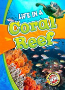 Life in a coral reef by Schuetz, Kari