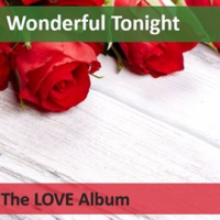 Wonderful Tonight: The Love Album by Julienne Taylor