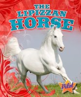The Lipizzan Horse by Green, Sara