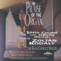 In_Praise_Of_The_Organ