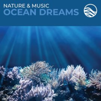 Nature & Music: Ocean Dreams by David Arkenstone