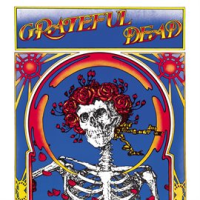 Grateful Dead (Skull & Roses) by Grateful Dead