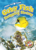 Goby_fish_and_snapping_shrimp