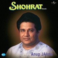 Shohrat Vol. 2 by Anup Jalota