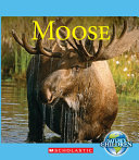 Moose by Gregory, Josh