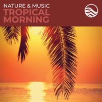 Nature & Music: Tropical Morning by David Arkenstone